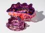  CONSIGNING THE WORKS OF DALE CHIHULY: YOUR GATEWAY TO EXCLU