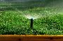 Coppell TX Mowing Services: Expert Lawn Care Solutions