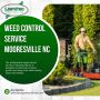 Trusted Weed Control Company in Mooresville, NC – Lawn Pro o