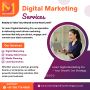 Top Digital Marketing Agency & Expert Training Courses