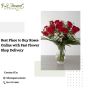 Best Place to Buy Roses Online with Fast Flower Shop Deliver