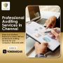 Expert Auditing Services for Your Business