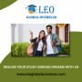 Study in Ireland with Leo Global Overseas!