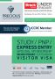 Grow Your Brand with Custom Flyer Designs Services