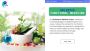 Unlock the Power of Holistic Functional Medicine