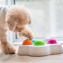 Perfect Dog Puzzle Feeder for 2024