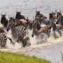 Affordable Tanzania Safari Packages 