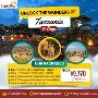 Victoria Falls Safari – A Journey Through Africa’s Natural S