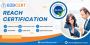 REACH Certification in the Egypt