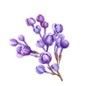 Lilac House