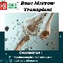 What Is a Bone Marrow Transplant and How Does It Work?