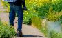  Lily Pest Solutions’ Effective Mosquito Protection
