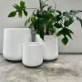 Plant Pots  