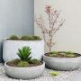Garden Pots Sydney