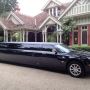 Luxury Limo Service in Fort Myers Florida
