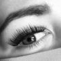 Volume Eyelashes in West Loop, Chicago Volume Eyelashes in West Loop, Chicago