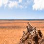 Affordable Tanzania Mount Meru Trekking – Book Now