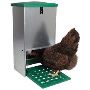 Find the Perfect Chicken Feeder & Shop Today!