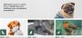 Get Top-Quality Clothing, Toys, & Health Care Products for Y Get Top-Quality Clothing, Toys, & Health Care Products for Y