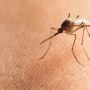 Mosquito Control Service, Topeka