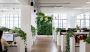 Office Renovation Company In Dubai