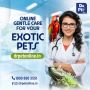 The Rise of Online Veterinary Consultation: A New Era in Pet