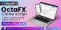 Enter the Global Forex Market Faster with OctaFX Clone Scrip