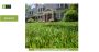 Classic option on astroturf-Lone Star Synthetic Turf