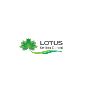 Dental Implants Near Melton | Lotus Smiles Dental