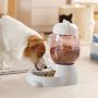 Shop Cat Essentials and Pet Accessories at Love Ya Cats & Do