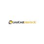 Low Cost Ignition Interlock
