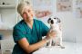 Get Highly Reputed Veterinarian Mailing List 