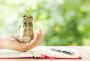 Expert Financial Services for Non-Profits: Elevate Your Miss