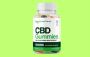 Relieve Body Pain Naturally with Lucanna Farms CBD Gummies