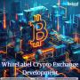 Own a Professional Whitelabel Crypto Exchange in Weeks - Bel