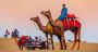 Luxury Rajasthan Tour Packages: Explore Heritage