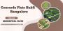  Concorde Plots Hubli Bangalore – A Lifestyle Worth Investin