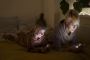 Are you growing addicted to Social Media?