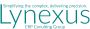 erp system consultant