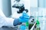 The Impact of Recombinant Proteins in Agriculture & Food