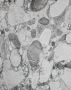 Marble Wall Panels Near Me