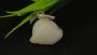 Machmani Stone – Your Trusted Partner in Natural Stones