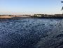 Macro Sheet: Durable Liner for Canal Lining Solutions Macro Sheet: Durable Liner for Canal Lining Solutions