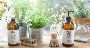 Eco-Friendly Natural Hand Wash