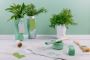 The Benefits of Upcycling: Creative Ideas from Dubai’s Recyc
