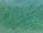 Rainforest Green Marble Exporter