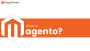 What is Magento? What is Magento?