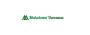 Trusted Banana Export Companies in India for Global Markets