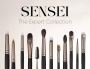 Makeup Brush Kit | Makeup Secrets