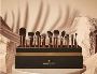 Cosmetic Brushes | Makeup Secrets